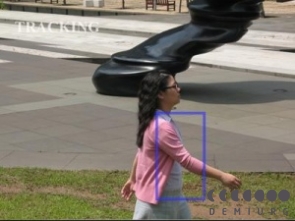 Автосопровождение объекта – свойство камер высокого разрешения. 