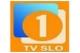 TV Slovenija 1